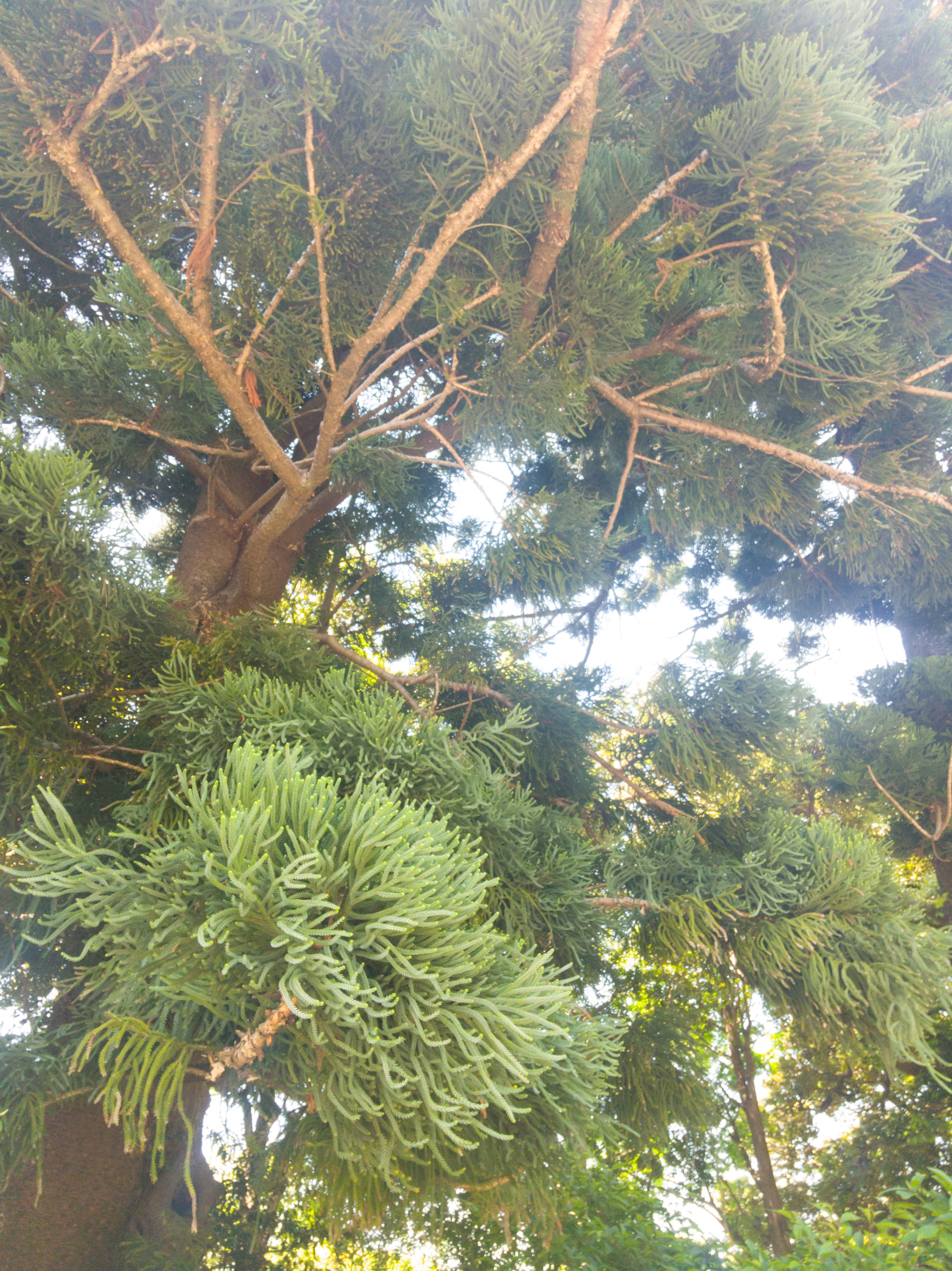 ゴールデンウィークは湘南に遊びに行ってきたときの写真つづき