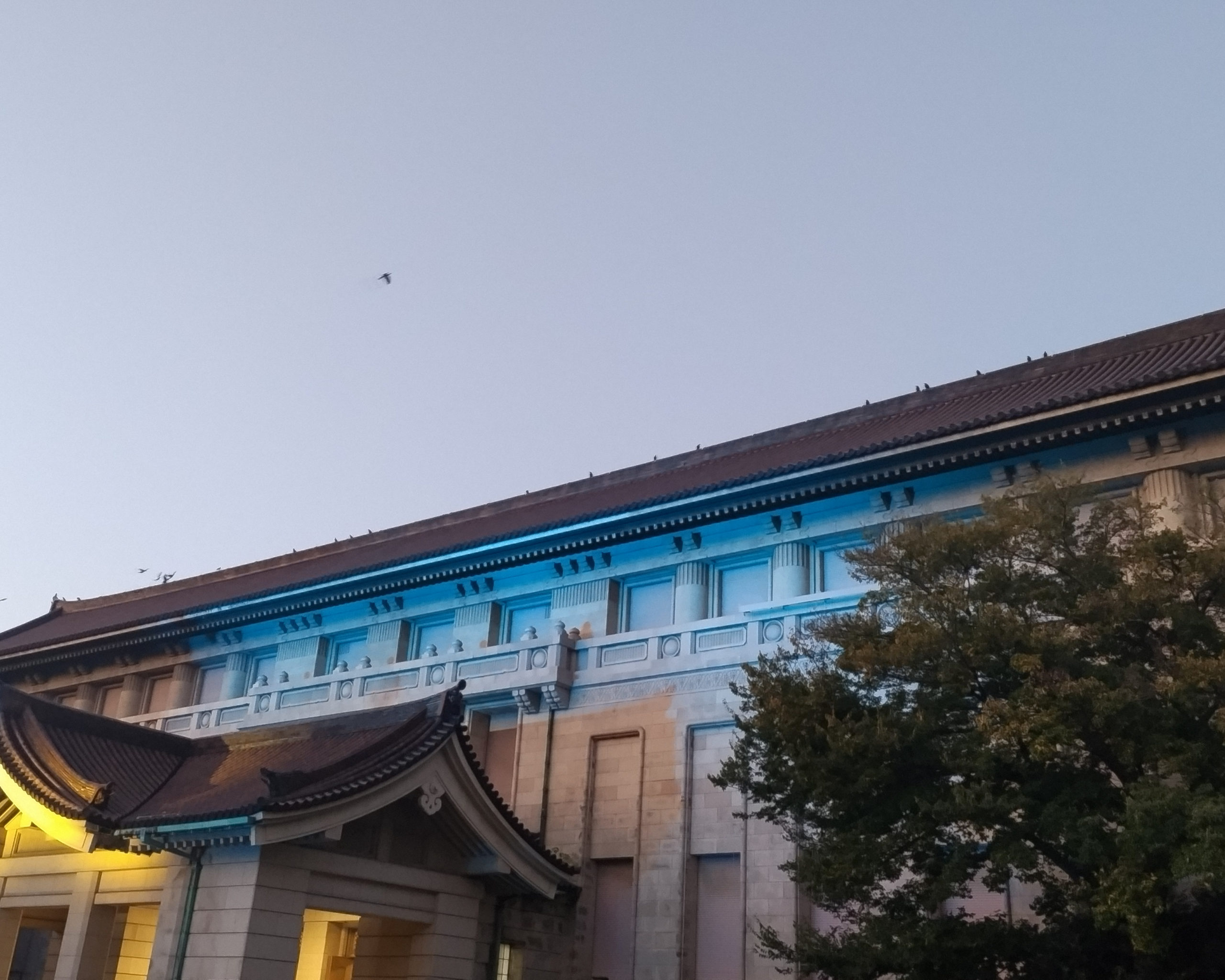 文化の日は東京国立博物館の総合文化展（常設展）が入場無料だったので見に行ってきた