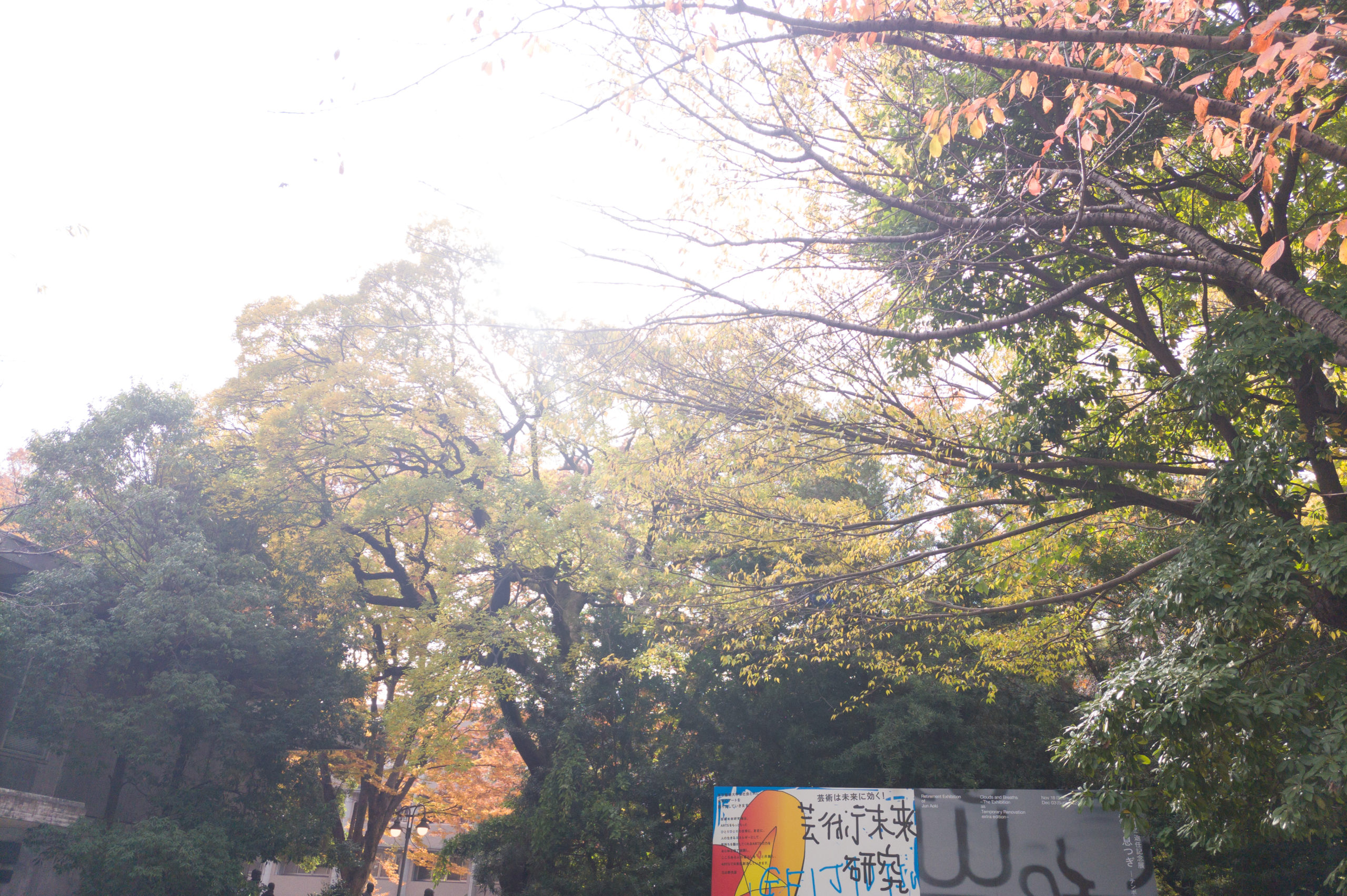 東京藝術大学　芸術未来研究場展を見てきた