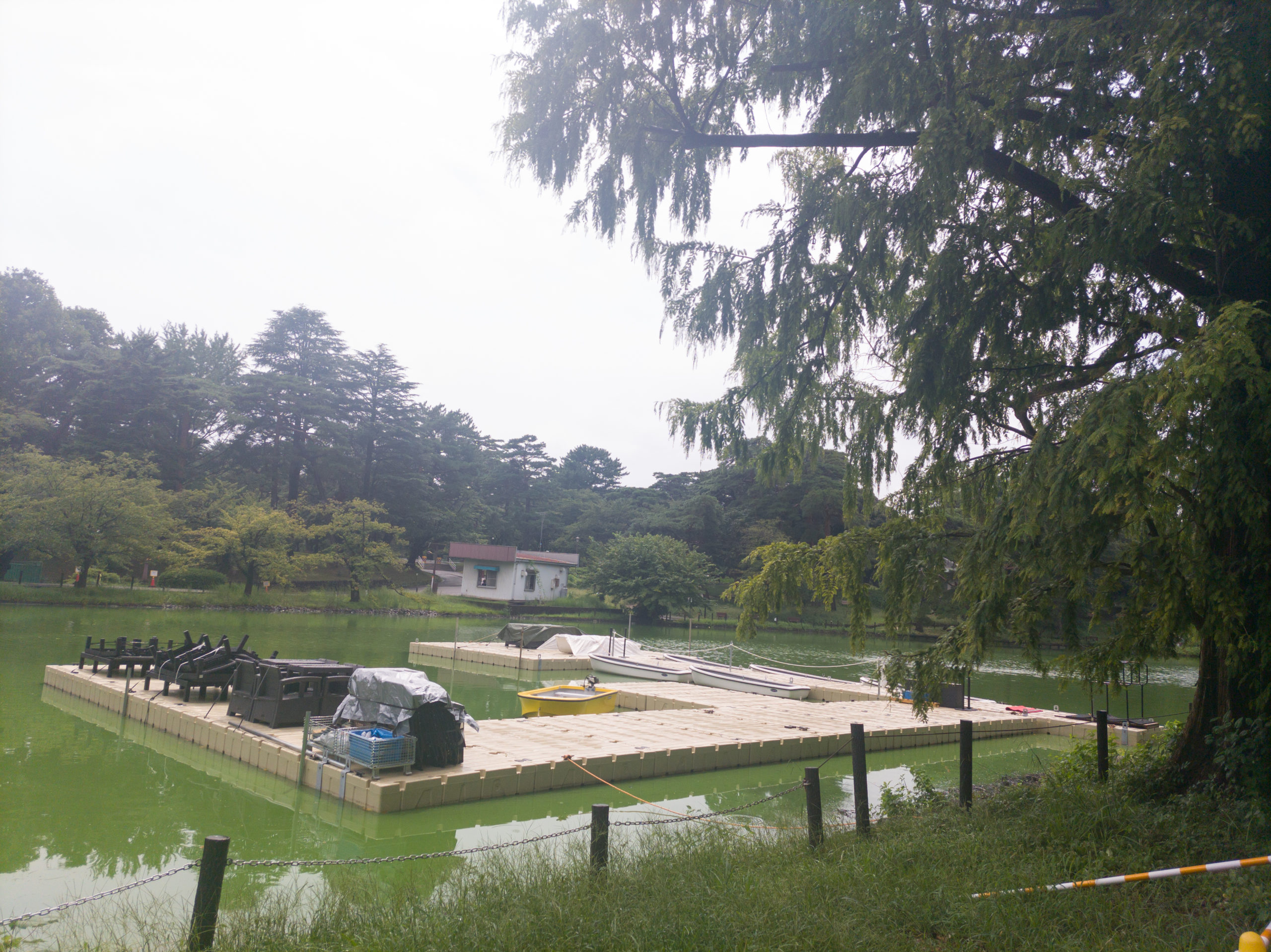 大宮公園にボートの桟橋ができてた