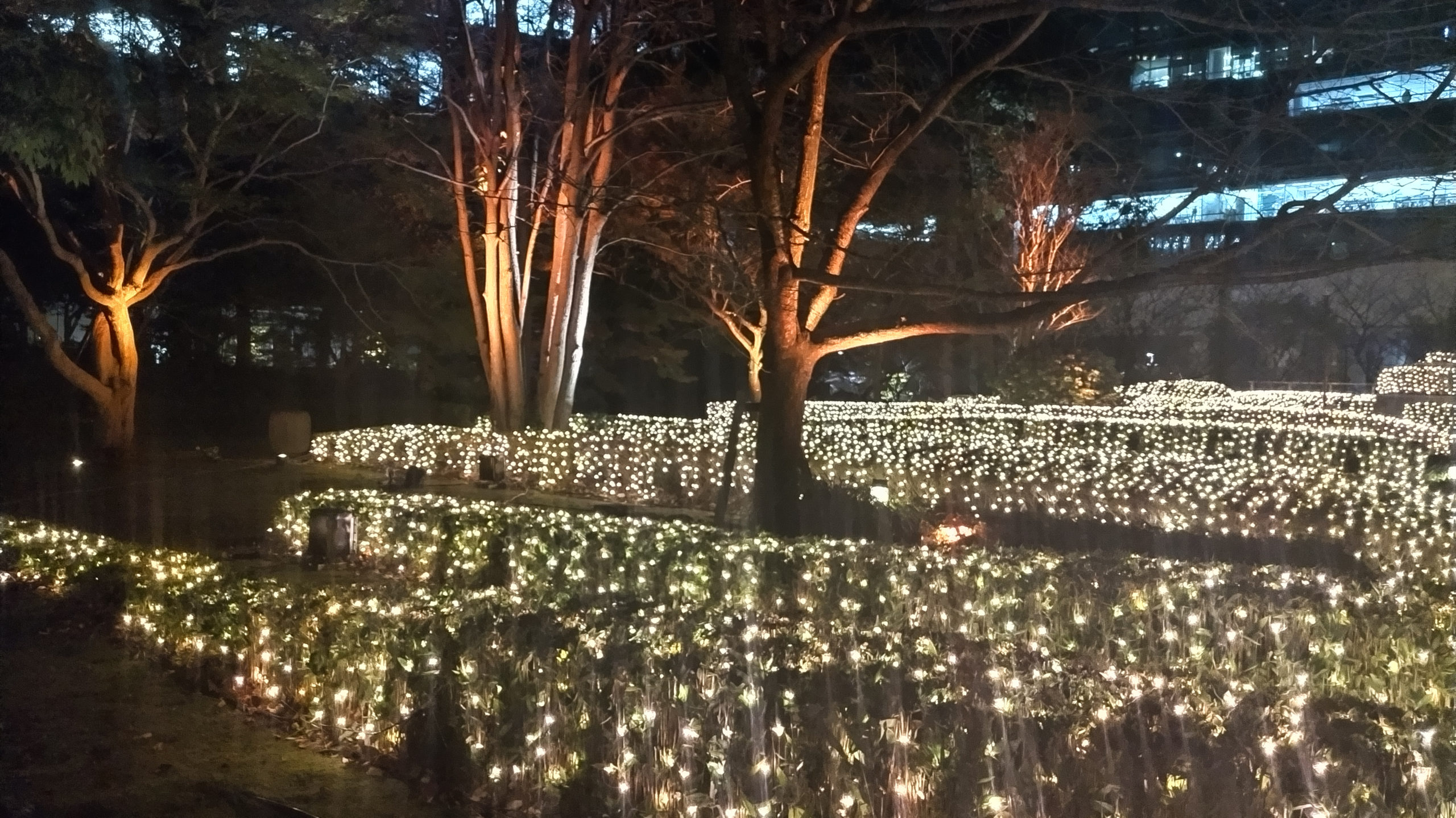 六本木でイルミネーションを撮ったりした(2024/12/15)