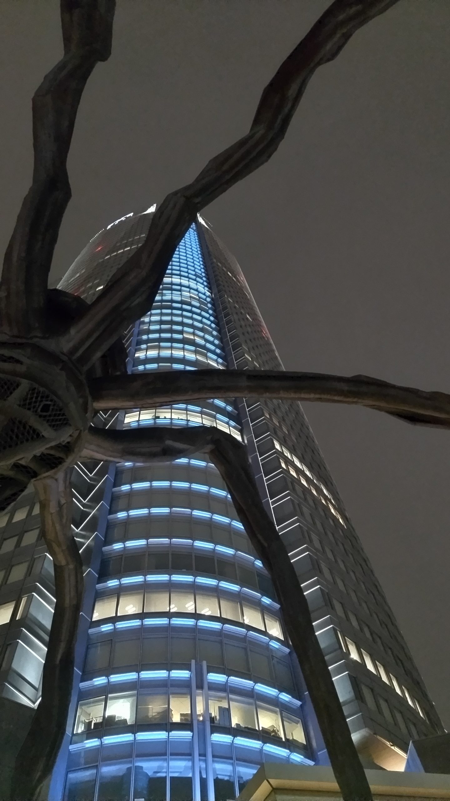 六本木ヒルズに行ってきた(2025/01/19)